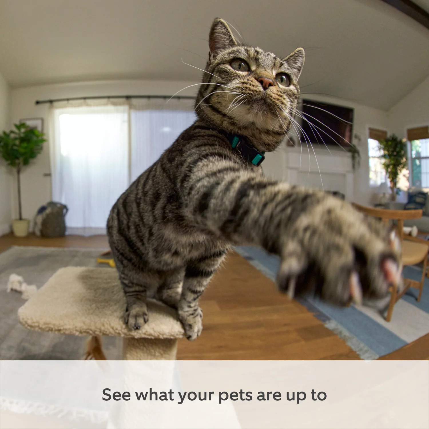 Pan-Tilt Indoor Camera - Image 6